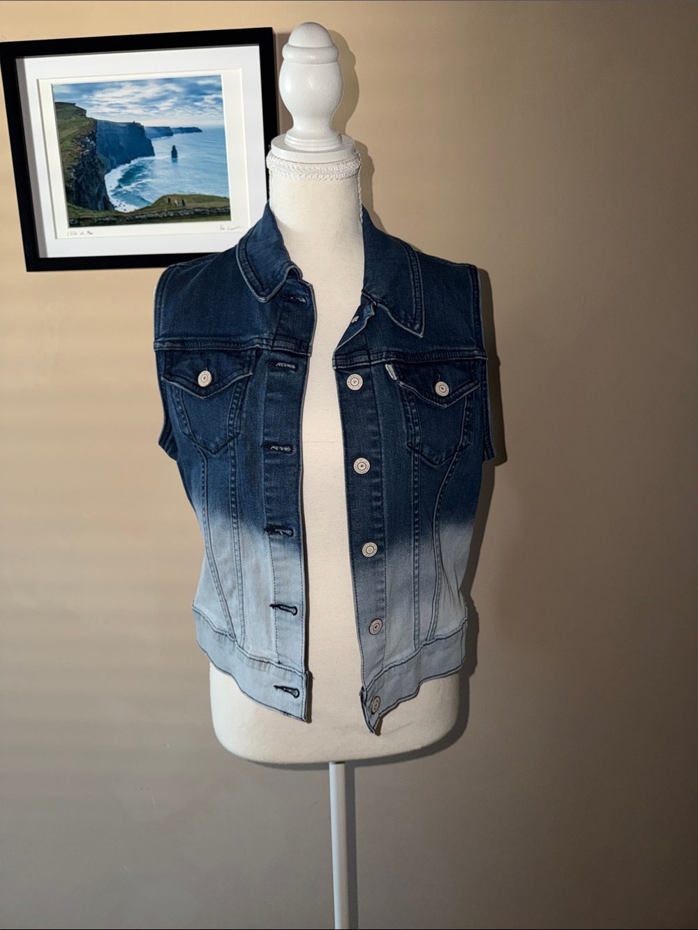 Levi's Ombre Sleeveless Denim Vest - Dark to Light Blue